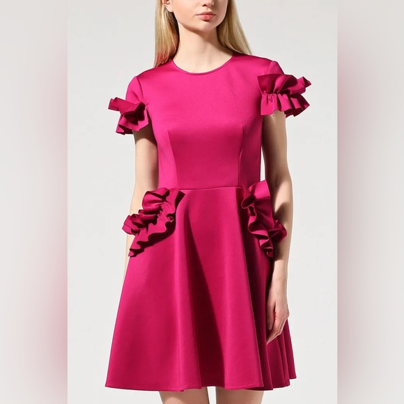 TED BAKER  Pink Ruffle Dress - Picture 7 of 9